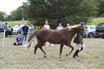 WJ6_6683