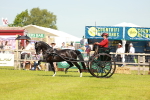 SBM_02867