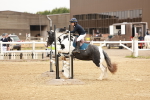 SBM_007819