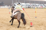 SBM_004375