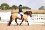 SBM_03600