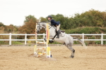 SBM_009049