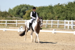 SBM_002653