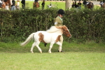 SBM_68523