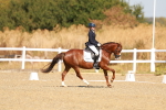 SBM_016810