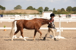 SBM_03375