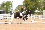 SBM_03831