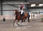 BPP_7353