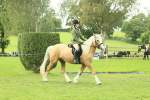 SBM_62575