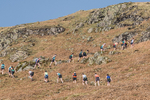 Elterwater-610