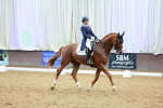 SBM_006080