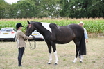 WJ6_5634