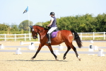 SBM_009565