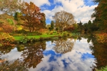Autumn Colours
