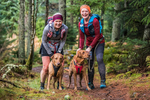 Glentress-2413