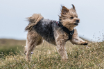 Hutton Roof-685