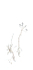 WINTER WEEDS#1 - NORFOLK COUNTY