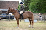 WJ6_3817