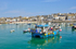 St Ives 2