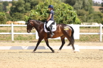 SBM_003917