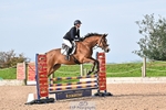 Clear Round and British Novice 90cm portfolio