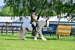 SBM_11576