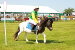 SBM_04745