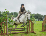 Dunblane show-216