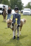 Class 8 - Prettiest Mare portfolio