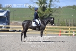BPP_9233