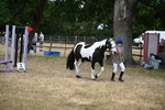 WJ6_8111