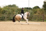 SBM_000973