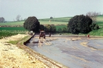 May 1993