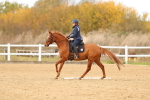 SBM_001829