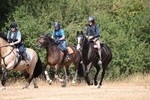 WJ6_9021