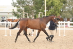 SBM_17068