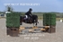 BPP_8059