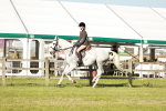 SBM_20107