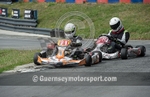 Kart Racing_08-09-2013-16