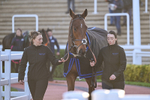 251025-Race 7-Crossgales King-0137