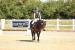 SBM_003523