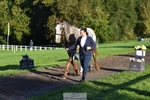 412-KELTEK.LUDO-Tracey.Neville-TrotUp+SJ portfolio