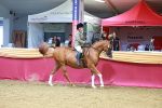 SBM_00747