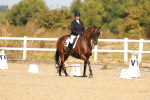 SBM_017732