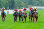 080925-Race 2-Alzahir-7806