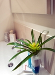 Kings Road_Interior-38