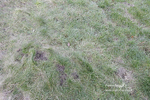 PtP 290123 0905