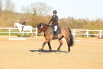 SBM_003772