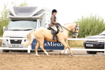 SBM_01352