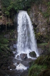Mellincwrt Falls Spring 1